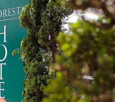 Floresta Tucuruvi (Adults Only) São Paulo Ngoại thất bức ảnh